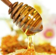 Useful properties of honey in the treatment of prostatitis: a method of application at home Contraindications to honey treatment