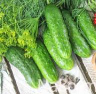 Recipes for pickling cucumbers with red and black currants for the winter, with and without sterilization