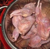 What dishes can be cooked from quails in a slow cooker How to cook quail recipes in a slow cooker