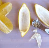 Лимонная цедра - описание с фото; польза продукта; рецепт, как сделать в домашних условиях и рекомендация, чем заменить при отсутствии Из фруктов и цедру лимона