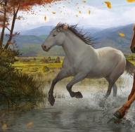A horse in a dream is a dream book.  What is the dream of a horse.  Dream Interpretation - a huge horse